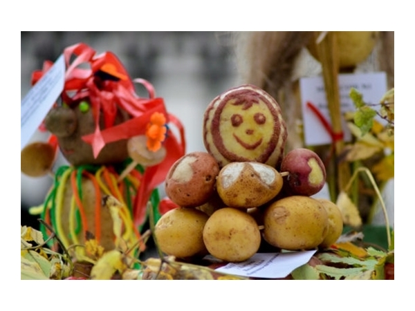 Приглашаем на II районный фестиваль картошки «Ах, улмаçăм-çĕрулми!» /«Картофельный разгуляй»/