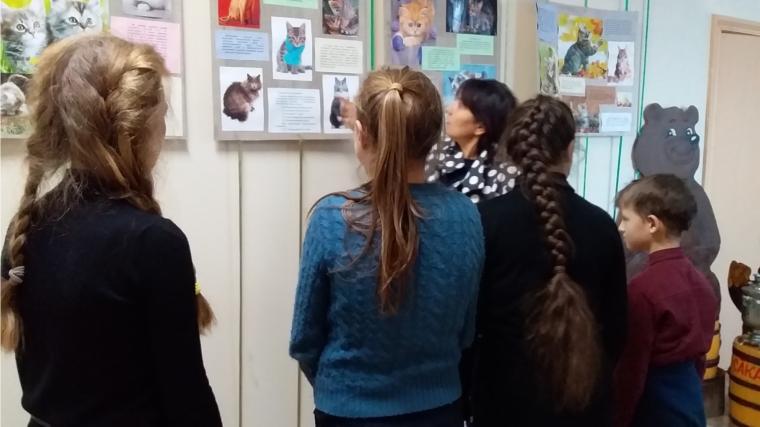 В Музее Ф.С. Васильева открылась выставка "Про котов, котят и кошек"
