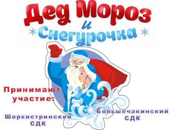 Районный конкурс Дед Мороз и Снегурочка-2019