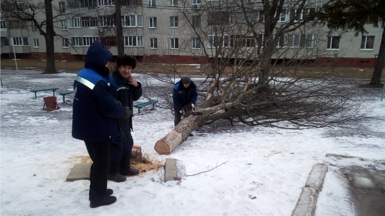 Рабочие администрации провели спил сухостойного аварийного дерева.