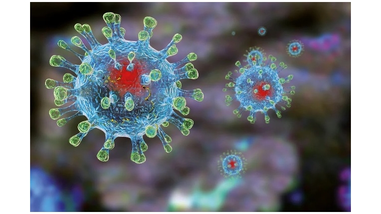 Час информации по теме «Что нужно знать о коронавирусе и как от него уберечься»