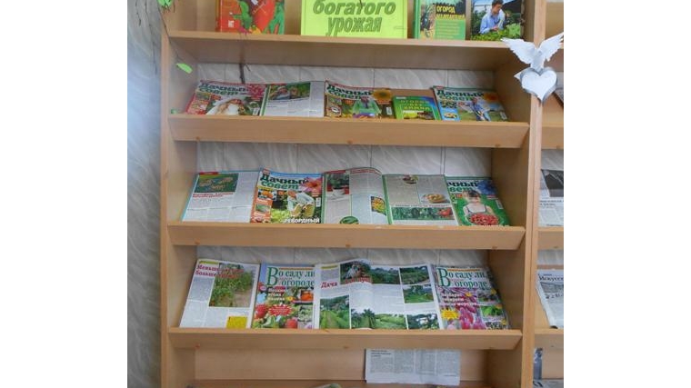 В Большевыльской сельской библиотеке провели познавательный час «Мой маленький огород: и здоровье, и доход».