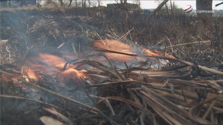 Сжигание сухой травы грозит пожарами