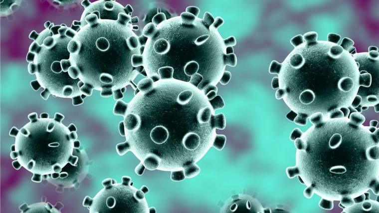 7 шагов по профилактике короновирусной инфекции