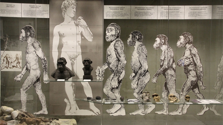 Виртуальная экскурсия по Государственному Дарвиновскому музею