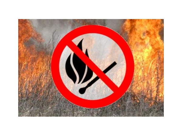 С 4 апреля 2020 года на территории республики установлен особый противопожарный режим