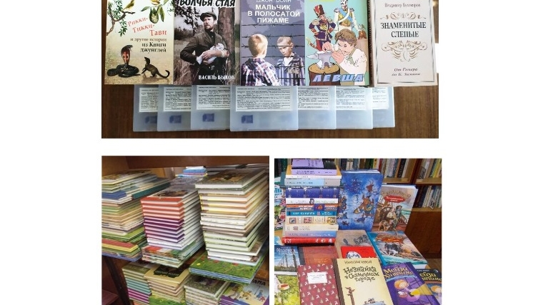 В рамках национального проекта «Культура» книжный фонд Кшаушской сельской библиотеки пополнится новыми книгами