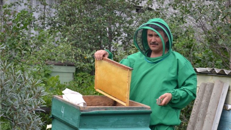 С праздником, пчеловоды