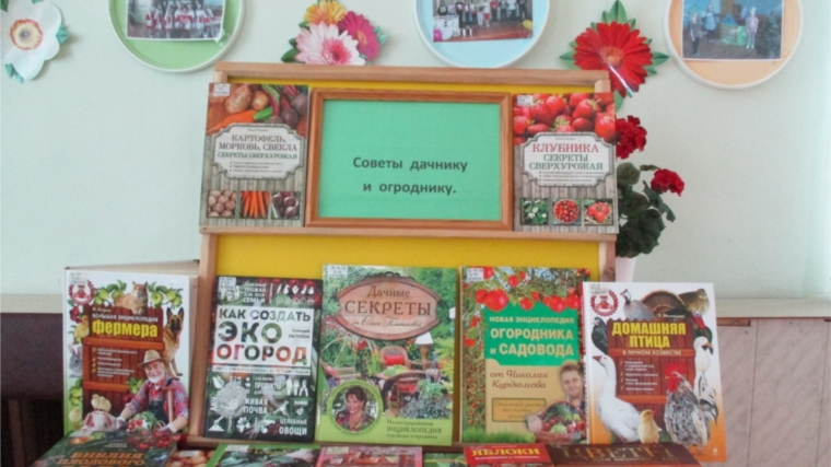 С книгами о приусадебном хозяйстве, о саде и огороде знакомит Тюрлеминская сельская библиотека