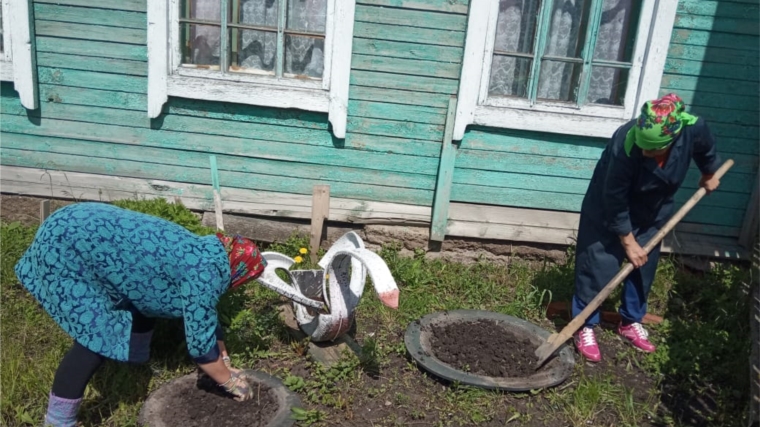 Работники Ойкас-Кибекского Сельского Дома культуры обновили цветочные клумбы