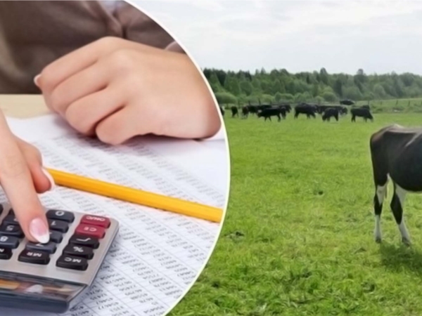 Министерство сельского хозяйства Чувашской Республики приглашает фермеров на конкурсный отбор заявок для предоставления грантов