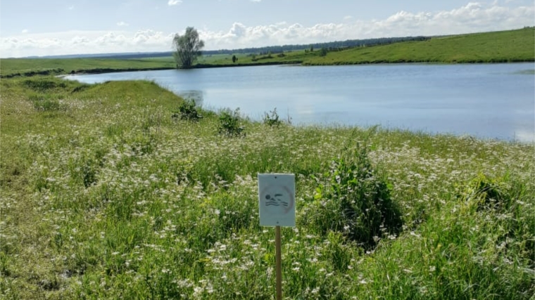 Несчастные случаи на воде на плотине д.Кубасы 7 июня.