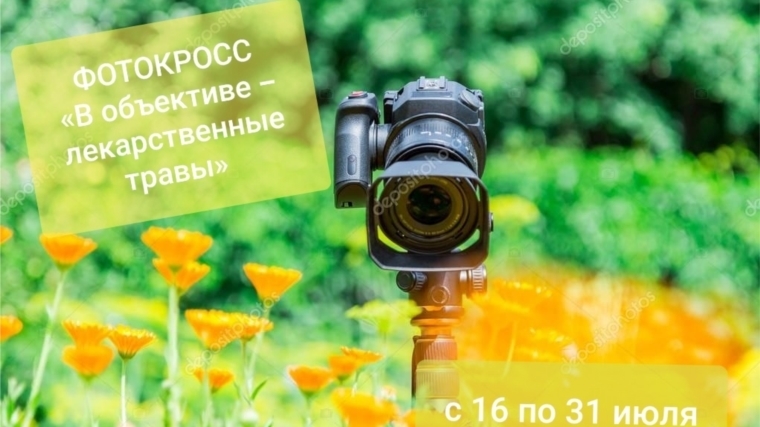 Ишпарайкинская сельская библиотека приняла участие в фотокроссе «В объективе – лекарственные травы»
