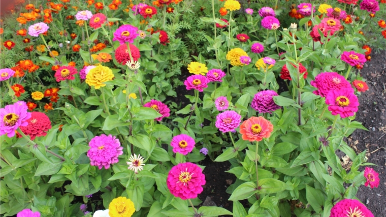 Починокбыбытьская сельская библиотека участвует в сетевой акции "Цветик-семицветик"