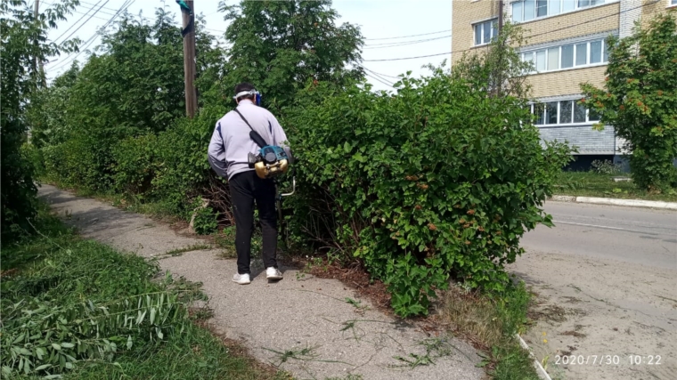По ул. А. Иванова п. Вурнары проводится покос травы.