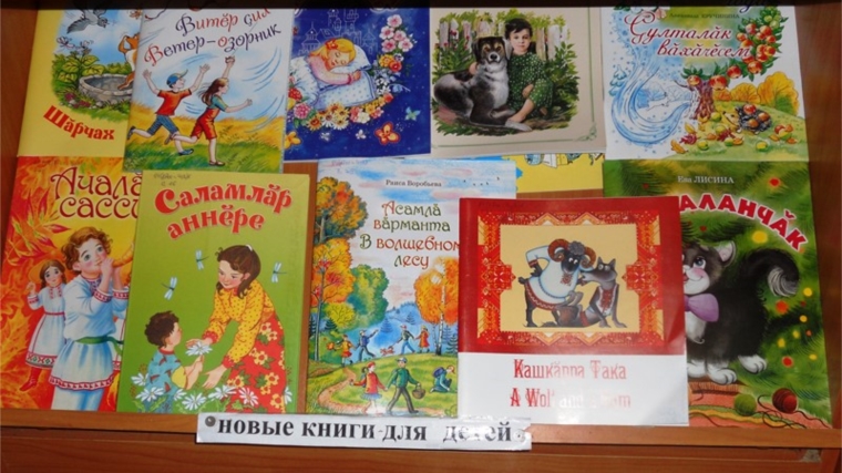 В Андрюшевской сельской библиотеке новые поступление книг