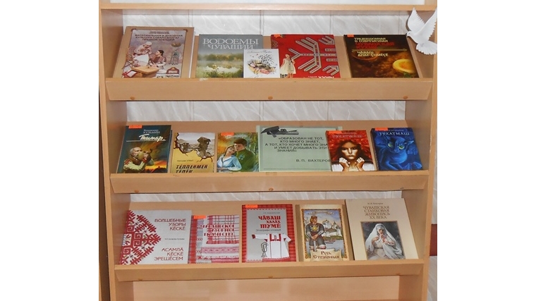 В Большевыльскую сельскую библиотеку поступили новые книги
