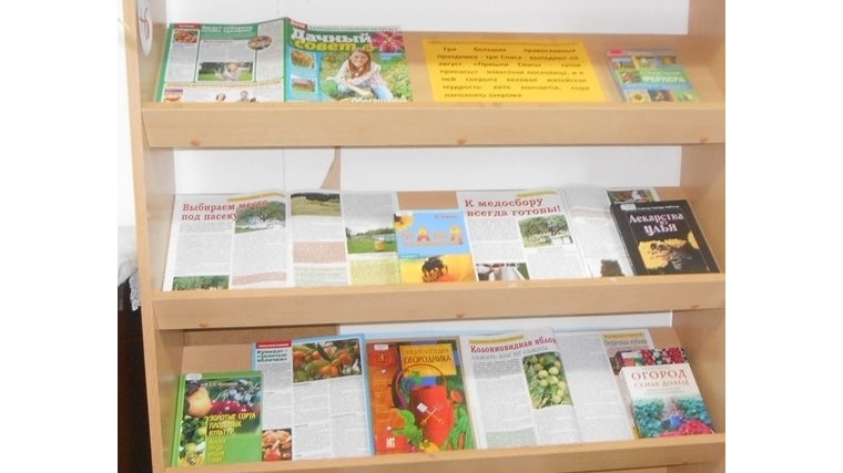 В Большевыльской сельской библиотеке работает выставка-просмотр «Спас: медовый, яблочный, ореховый»