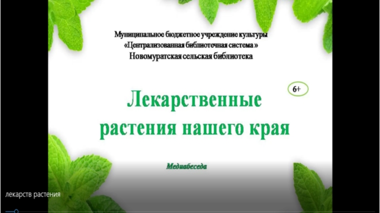 Медиабеседа Новомуратской сельской библиотеки "Лекарственные растения нашего края"