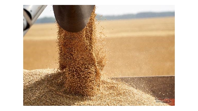 Валовой сбор зерна в республике более чем на 30% превышает показатель прошлого года