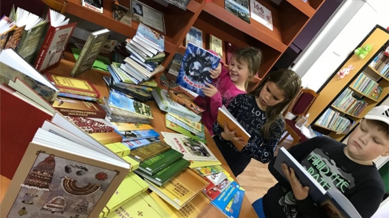 День информации «Новые книги в библиотеке» в Шумерлинской сельской библиотеке