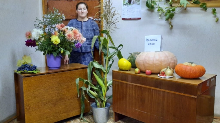 Выставка овощей и фруктов "Урожай - 2020" в Вомбакасинском СК