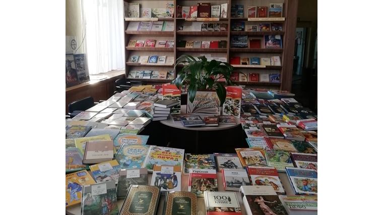 В Русско-Алгашинской библиотеке оформлена большая книжная выставка «Книжные новинки».
