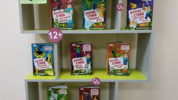 Межпоселенческая библиотека Шумерлинского района спешит обрадовать юных читателей новой серией книг о приключениях мальчика Стива в мире игры «Майнкрафт».