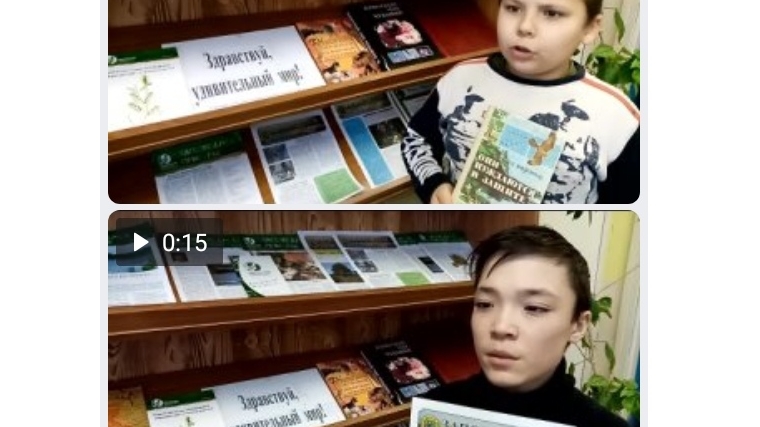 Знакомство с заповедным миром в Алманчиковской сельской библиотеке