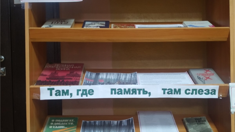 В Питишевской сельской библиотеке оформлена книжная выставка «Сурский рубеж: незабываемый подвиг».
