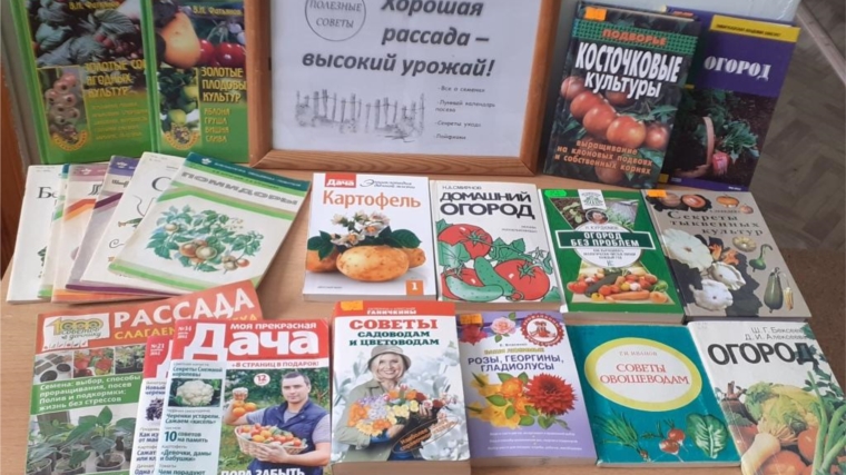 Книжная выставка «Хорошая рассада – высокий урожай»: С. Токаевская сельская библиотека