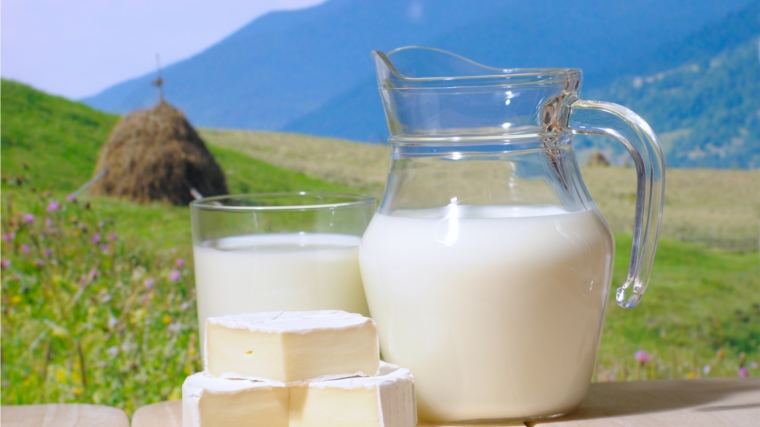 Безопасность молока и молочных продуктов.