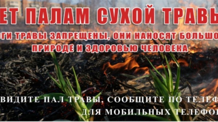 Правила безопасности при сжигании сухой травы и мусора