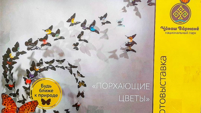 Передвижная фотовыставка "Порхающие бабочки" в детской библиотеке