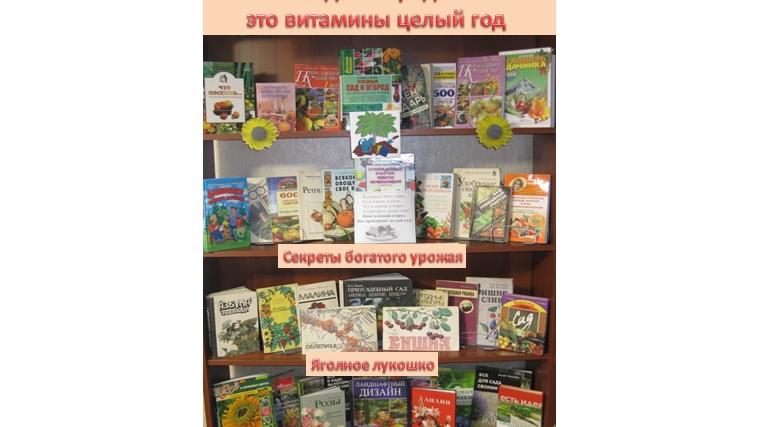 В Большевыльской сельской библиотеке провели познавательный час «Мой маленький огород – и здоровье, и доход».