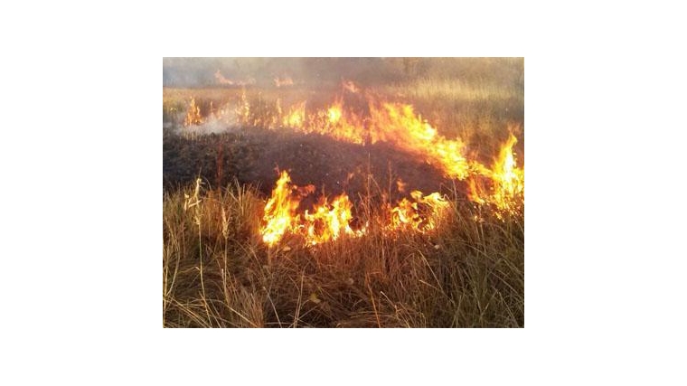 Обращение главы сельского поселения о принятии мер по предотвращению пожаров и обеспечения эффективной борьбы с ними