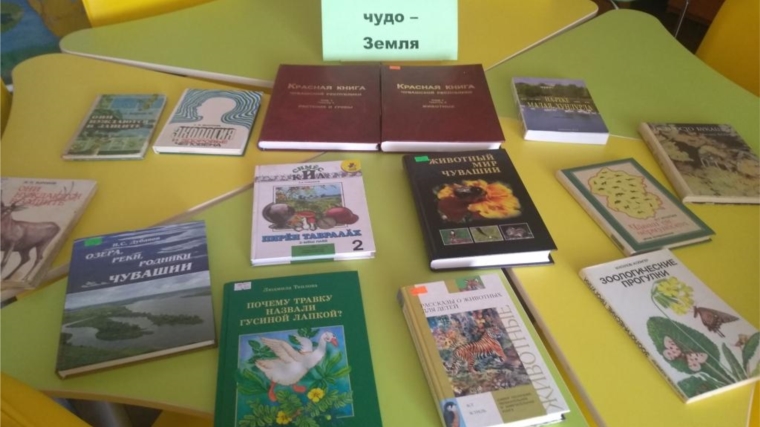 Книжная выставка «Зелёное чудо – земля» в Новочелны – Сюрбеевской сельской библиотеке