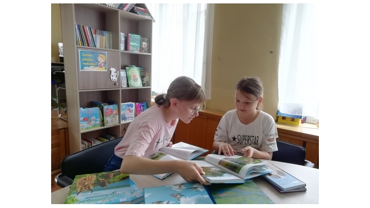 В Русско-Алгашинской сельской библиотеке прошла игровая программа «Экологический калейдоскоп».