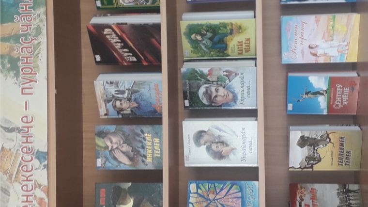 Галерея новинок в Егоркинской сельской библиотеке