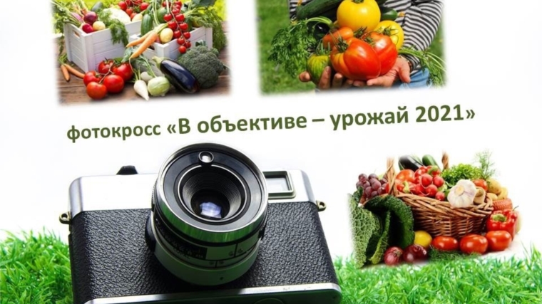 Ишпарайкинская сельская библиотека приняла участие в фотокроссе «В объективе – урожай 2021»