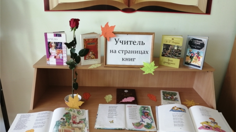 Книжная выставка «Учитель на страницах книг» в Токаевской сельской библиотеке