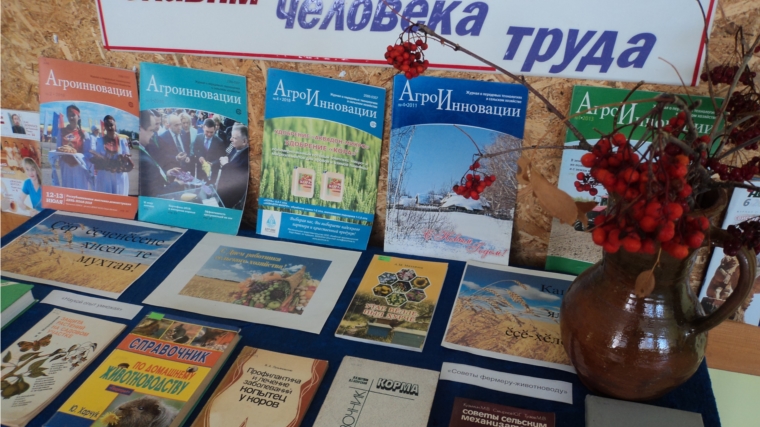 В Ишпарайкинской сельской библиотеке организована книжная выставка «Славим человека труда»