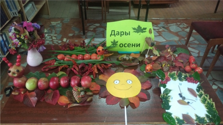 Выставка поделок «Дары осени» в Тораевской сельской библиотеке.