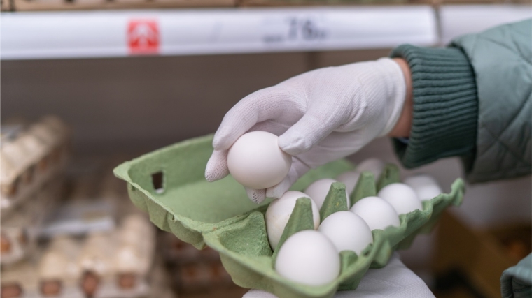 Минсельхоз предложил новые правила ветсанэкспертизы яиц