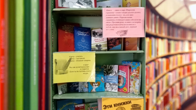 В Сиделинском библиотечном пункте оформлена книжная выставка «Знакомьтесь, новые книги!».