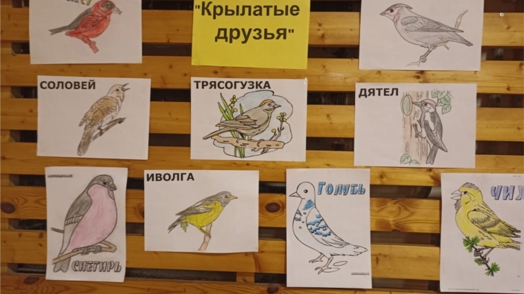 Чиршкасинский ДТ: "Птицы - наши друзья"