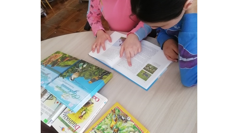 В Русско-Алгашинской сельской библиотеке прошла игра - викторина «Наши пернатые друзья»