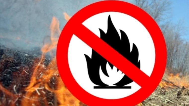 С 15 апреля на территории города Новочебоксарска введен особый противопожарный режим