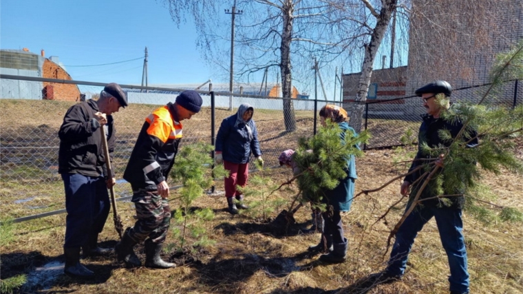 Малотаябинское сельское поселение присоединилось к акции «Сад Памяти»