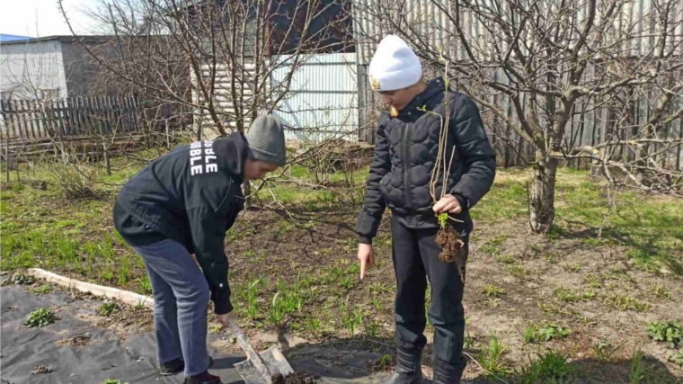 Айбечское сельское поселение присоединилось к Всероссийской акции «Сад Памяти»